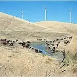 Windscapes Mitch Epstein from his book "American Power"